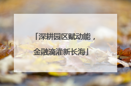 深耕园区赋动能，金融滴灌新长海