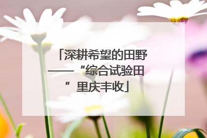 深耕希望的田野——“综合试验田”里庆丰收