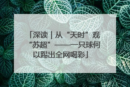 深读｜从“天时”观“苏超”——一只球何以踢出全网喝彩
