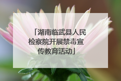 湖南临武县人民检察院开展禁毒宣传教育活动