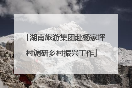 湖南旅游集团赴杨家坪村调研乡村振兴工作