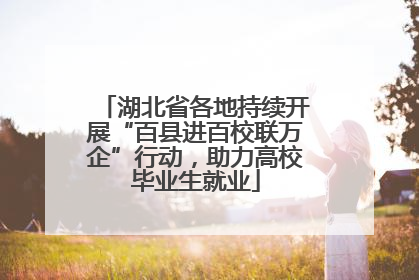 湖北省各地持续开展“百县进百校联万企”行动，助力高校毕业生就业