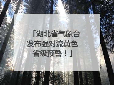 湖北省气象台发布强对流黄色省级预警！