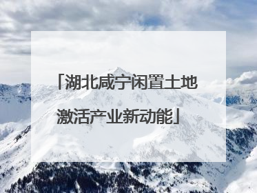 湖北咸宁闲置土地激活产业新动能