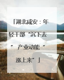 湖北咸安：年轻干部“沉下去” 产业动能“涨上来”
