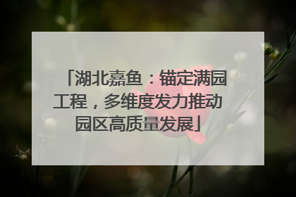 湖北嘉鱼：锚定满园工程，多维度发力推动园区高质量发展