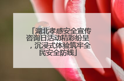 湖北孝感安全宣传咨询日活动精彩纷呈，沉浸式体验筑牢全民安全防线
