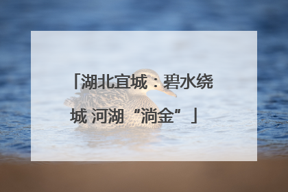 湖北宜城：碧水绕城 河湖“淌金”