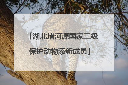 湖北堵河源国家二级保护动物添新成员