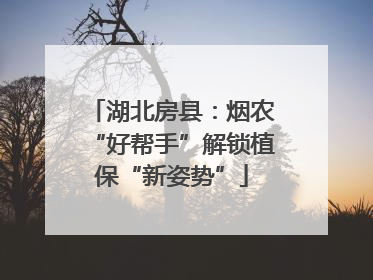 湖北房县：烟农“好帮手”解锁植保“新姿势”