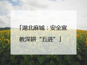 湖北麻城：安全宣教深耕“五进”