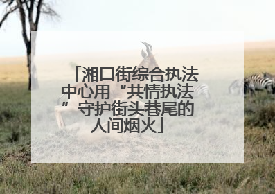 湘口街综合执法中心用“共情执法”守护街头巷尾的人间烟火