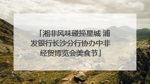 湘非风味碰撞星城 浦发银行长沙分行协办中非经贸博览会美食节