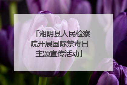 湘阴县人民检察院开展国际禁毒日主题宣传活动