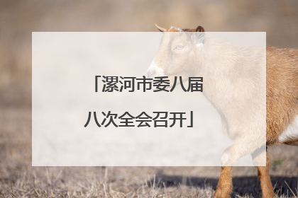 漯河市委八届八次全会召开