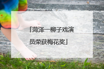 菏泽一柳子戏演员荣获梅花奖