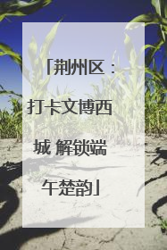 荆州区：打卡文博西城 解锁端午楚韵