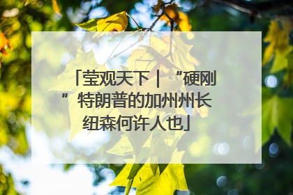 莹观天下｜“硬刚”特朗普的加州州长纽森何许人也