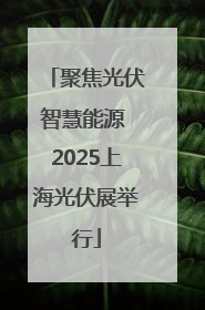 聚焦光伏智慧能源 2025上海光伏展举行