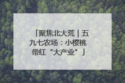 聚焦北大荒｜五九七农场：小樱桃带红“大产业”
