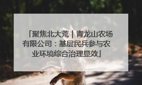 聚焦北大荒｜青龙山农场有限公司：基层民兵参与农业环境综合治理显效