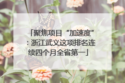聚焦项目“加速度”：浙江武义这项排名连续四个月全省第一