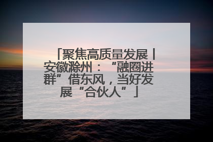 聚焦高质量发展丨安徽滁州：“融圈进群”借东风，当好发展“合伙人”