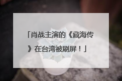 肖战主演的《藏海传》在台湾被刷屏！
