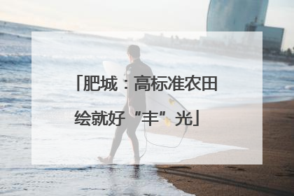肥城：高标准农田绘就好“丰”光