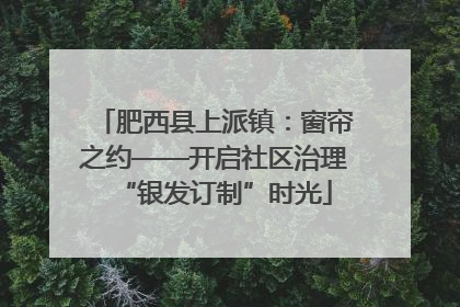 肥西县上派镇：窗帘之约——开启社区治理“银发订制”时光
