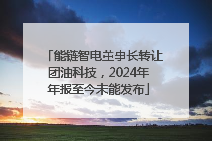 能链智电董事长转让团油科技，2024年年报至今未能发布