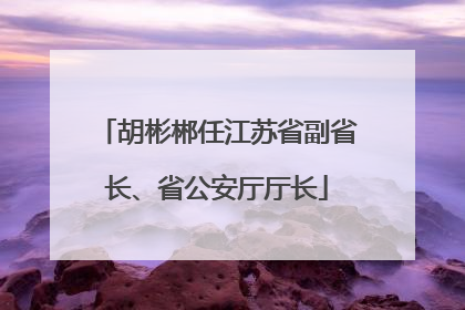 胡彬郴任江苏省副省长、省公安厅厅长