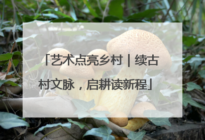 艺术点亮乡村｜续古村文脉，启耕读新程