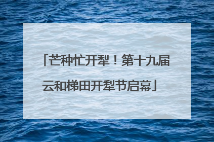 芒种忙开犁！第十九届云和梯田开犁节启幕