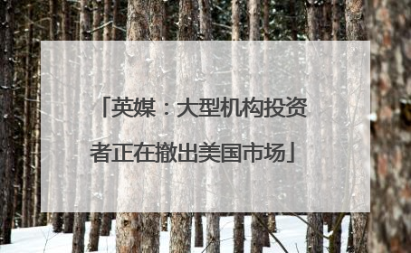 英媒：大型机构投资者正在撤出美国市场