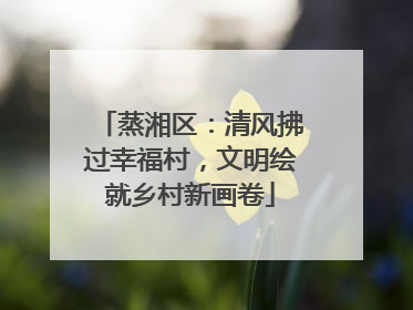 蒸湘区：清风拂过幸福村，文明绘就乡村新画卷