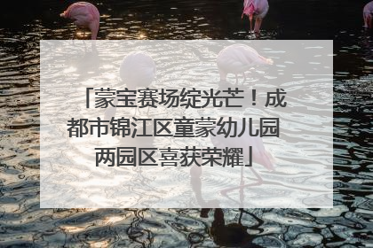 蒙宝赛场绽光芒！成都市锦江区童蒙幼儿园两园区喜获荣耀