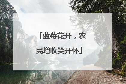 蓝莓花开，农民增收笑开怀