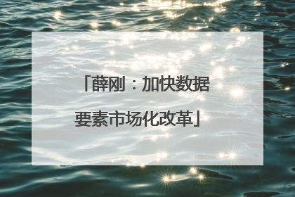薛刚：加快数据要素市场化改革