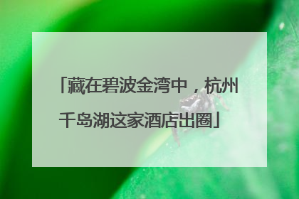 藏在碧波金湾中，杭州千岛湖这家酒店出圈