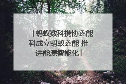 蚂蚁数科携协鑫能科成立蚂蚁鑫能 推进能源智能化