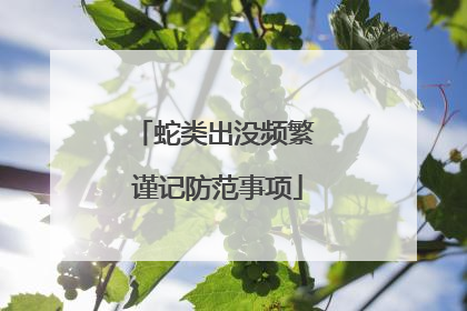 蛇类出没频繁 谨记防范事项