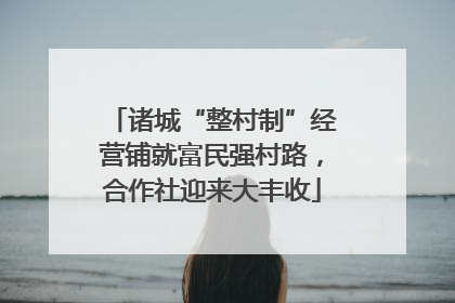 诸城“整村制”经营铺就富民强村路，合作社迎来大丰收