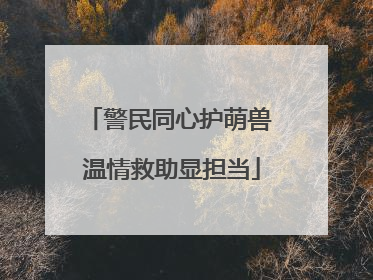 警民同心护萌兽 温情救助显担当