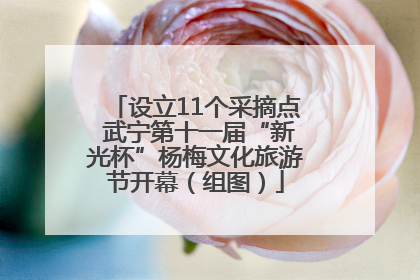 设立11个采摘点 武宁第十一届“新光杯”杨梅文化旅游节开幕（组图）