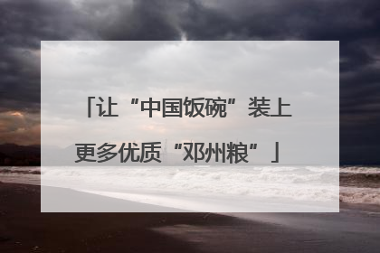 让“中国饭碗”装上更多优质“邓州粮”