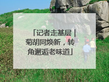 记者走基层｜菊胡同焕新，转角邂逅老味道