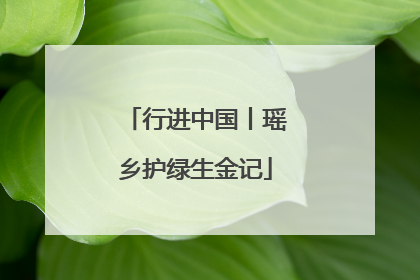 行进中国丨瑶乡护绿生金记