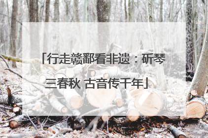 行走赣鄱看非遗：斫琴三春秋 古音传千年
