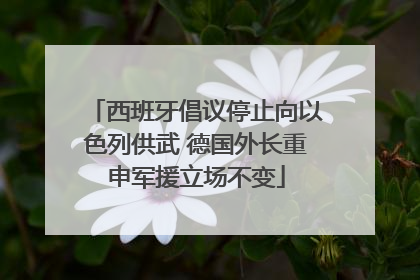 西班牙倡议停止向以色列供武 德国外长重申军援立场不变
